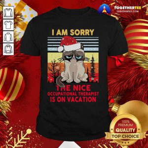 I Am Sorry The Nice Occupational Therapist Is On Vacation Shirt - Design By Togethertee.com