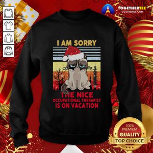 I Am Sorry The Nice Occupational Therapist Is On Vacation Sweatshirt - Design By Togethertee.com