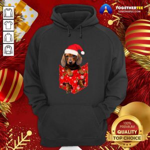 Daschund Santa Christmas 2020 Hoodie - Design By Togethertee.com