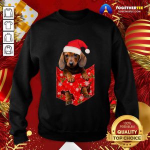 Daschund Santa Christmas 2020 Sweatshirt - Design By Togethertee.com
