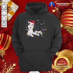 Siberian Husky Santa Hat Christmas Lights Xmas Dog Gift Hoodie - Design By Togethertee.com