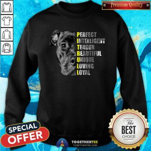 Pit Bull Perfect Intelligent Tender Beautiful Unique Loving Loyal Sweatshirt