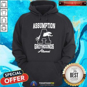 Assumption Greyhounds Hoodie - Design By Togethertees.com