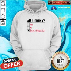 Am I Drunk Yes No Bitch I Might Be Hoodie - Design By Togethertees.com