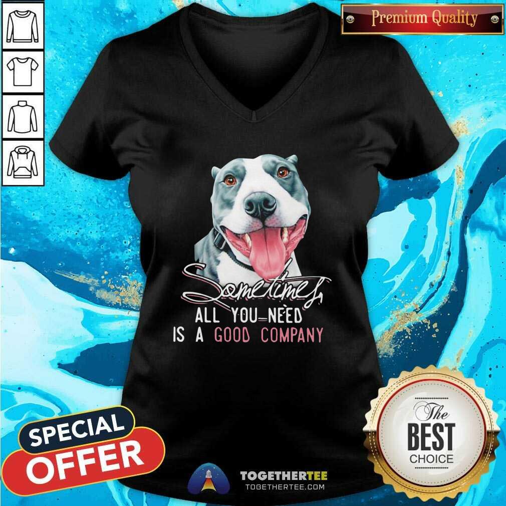 Dog Sometimes All You Need Is A Good Company V-neck Dog Sometimes All You Need Is A Good Company V-neck - Design By Togethertees.com