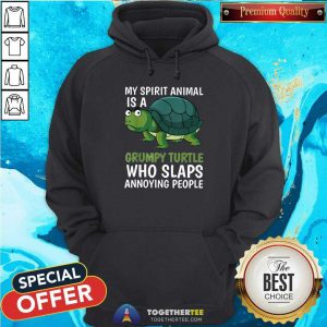 Awesome My Spirit Animal Is Grumpy Turtle Cartoon Hoodie