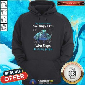 Top My Spirit Animal Is A Grumpy Turtle Hoodie