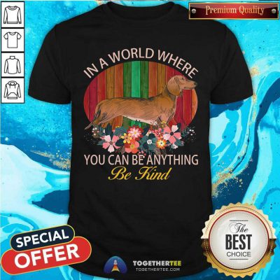 Dachshund In A World Where You Can Be Anything Be Kind Shirt