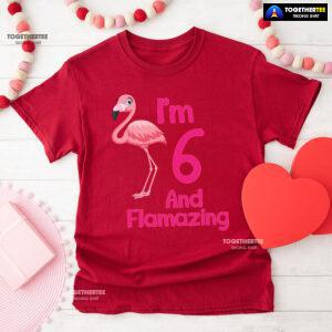 I Am 6 And Flamazing Flamingo 6th Birthday T-Shirt