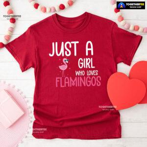 Just A Girl Who Loves Flamingos T-Shirt