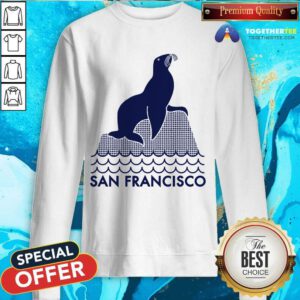 SF San Francisco Seal sweatshirt