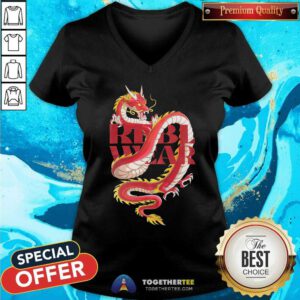 Red Dragon Reblwear V-neck