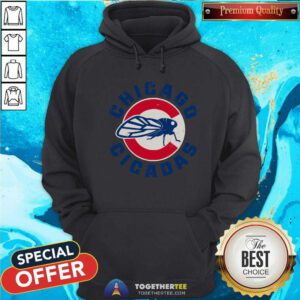 Awesome The Chicago Cicadas Baseball Team Hoodie