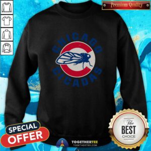 Awesome The Chicago Cicadas Baseball Team Sweatshirt