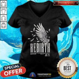 Premium Rebirth Feather V-neck