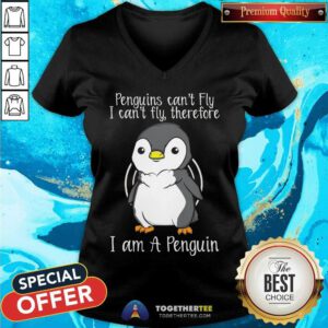 Awesome I Can't Fly Therefore I Am A Penguin V-neck