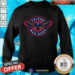 Great Toledo Mud Hens Benson Powerblend Hood Sweatshirt
