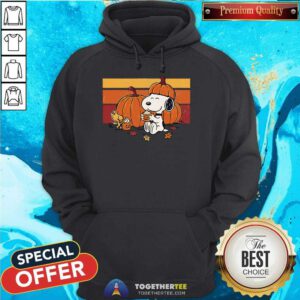 Awesome Snoopy And Woodstock Pumpkin Spice And Friends Hoodie