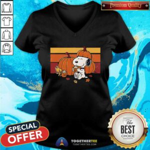 Awesome Snoopy And Woodstock Pumpkin Spice And Friends V-neck