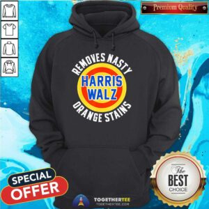 Funny Removes Nasty Harris Walz Orange Stains 2024 Hoodie