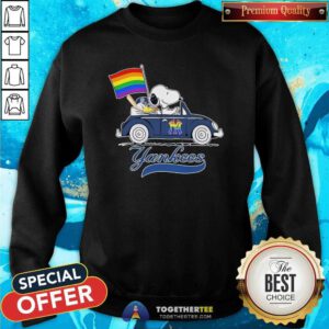 Funny Snoopy And Woodstock New York Yankees Pride Flag Sweatshirt
