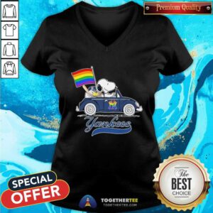 Funny Snoopy And Woodstock New York Yankees Pride Flag V-neck
