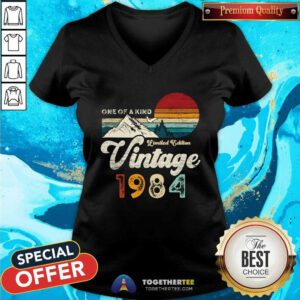 Awesome One Of A Kind Limited Edition Mountains Vintage 1984 V-neck