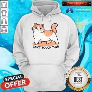 Nice Can't Touch This Cat Hoodie