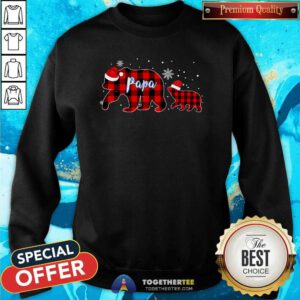 Hot Papa Bear Christmas Pajama Red Plaid Buffalo Sweatshirt