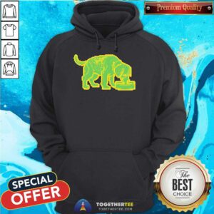 Nice Niko B Green Pixel Dog Hoodie