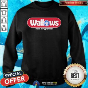 Awesome Wallows Globe Los Angeles Sweatshirt