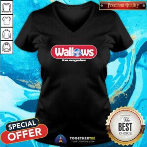 Awesome Wallows Globe Los Angeles V-neck