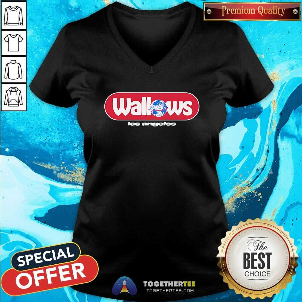 Awesome Wallows Globe Los Angeles V-neck