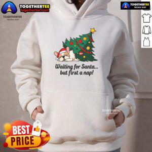 Cute dog in a hoodie waiting for Santa, but first taking a nap, perfect for holiday pet fashion.