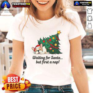 Cute dog napping in festive setting, perfect for 'Waiting for Santa' holiday tee for women. Ideal Christmas gift!