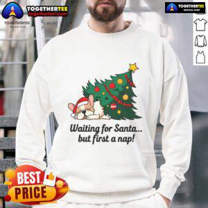 Alt Text: Cute dog in a festive sweatshirt waiting for Santa while taking a nap, perfect for holiday dog lovers.