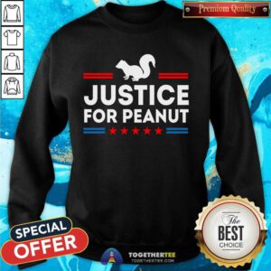 Hot Justice For Peanut The Squirrels Sweatshirt