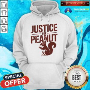 Nice Justice For Peanut The Squirrel Hoodie