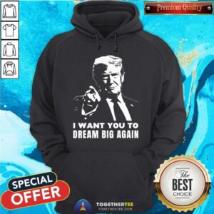 Top Trump Dream Big Again Golden Age Inauguration Day Maga 45 47 Hoodie