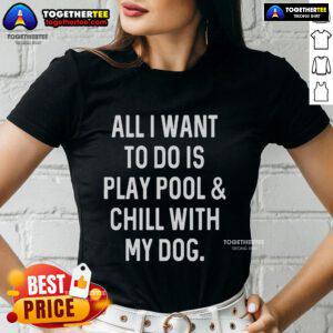 Top 'All I Want To Do Is Play Pool And Chill With My Dog' Ladies Tee featuring a playful design and vibrant colors.