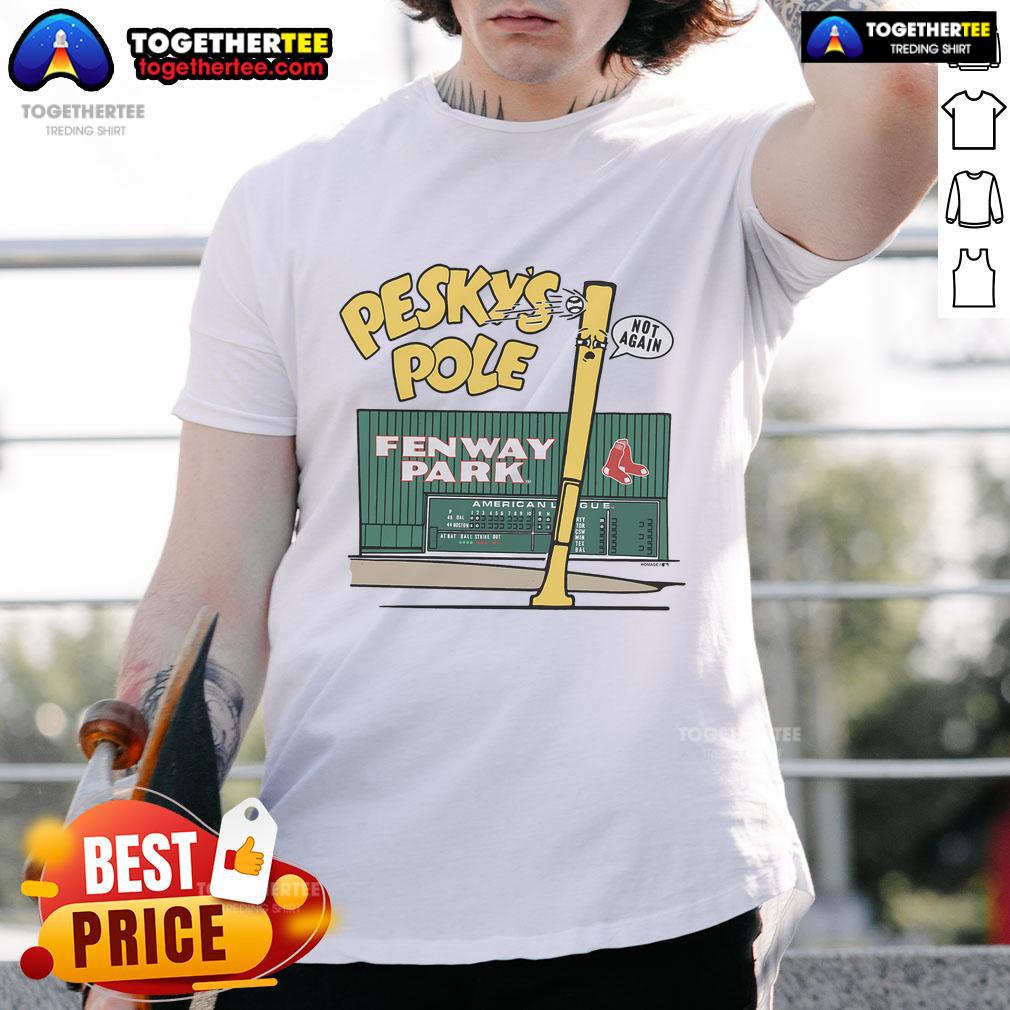 Alt Text: Good Boston Red Sox homage t-shirt featuring team colors and logo, perfect for fans and collectors.