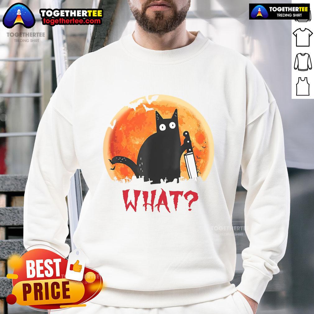 Alt Text: Funny sweatshirt featuring a playful cat design, perfect for cat lovers and casual wear enthusiasts.