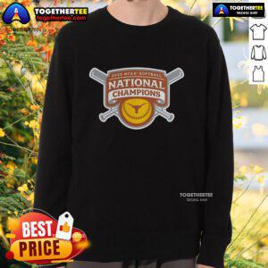 Official Texas Longhorns 2025 NCAA Softball College World Series Champions Sweatshirt in burnt orange color.