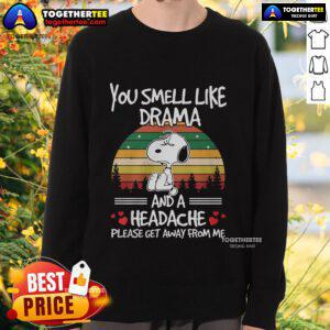 Alt Text: Vintage sunset sweatshirt featuring Snoopy with the phrase You Smell Like Drama And A Headache in bold lettering.