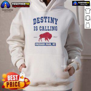 Top Buffalo Bills Destiny Is Calling hoodie displayed in Orchard Park, NY, featuring team colors and logo.