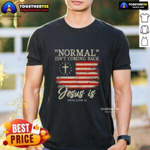 Top Christian 'Normal Isnt Coming Back' Jesus T-Shirt design featuring a bold message for believers and faith enthusiasts.