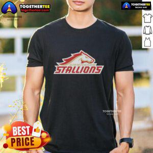 Alt Text: Hot Birmingham Stallions Lockup Logo T-Shirt featuring bold team logo on a stylish black background.