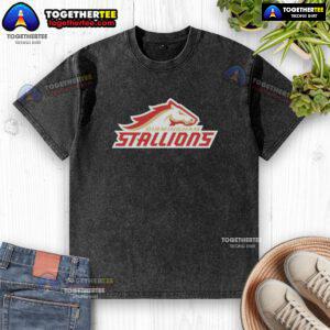 Hot Birmingham Stallions lockup logo on a stylish washed t-shirt, perfect for fans and casual wear.