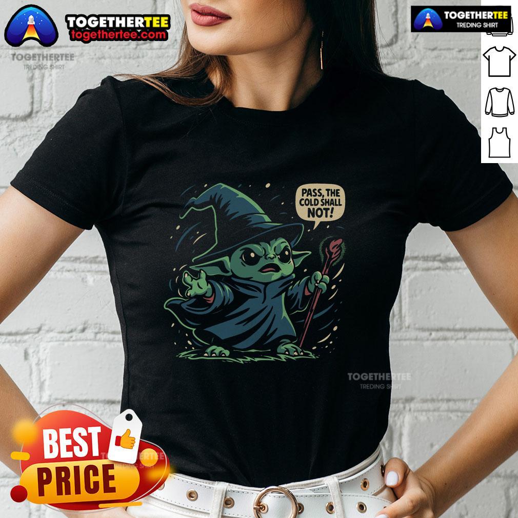 Nice-The-Cold-Shall-Not-Pass Ladies Tee featuring a stylish design perfect for winter wear and chilly outdoor activities.