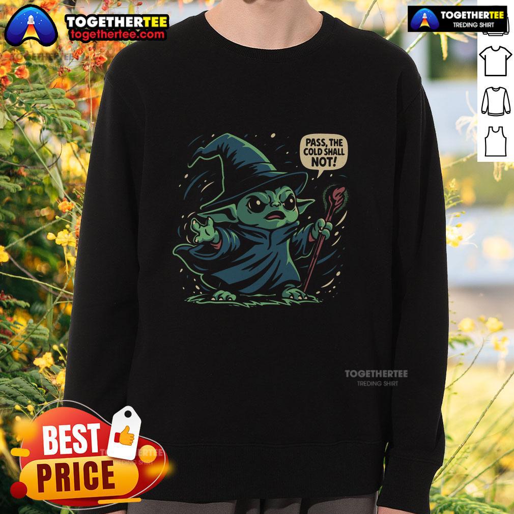 Cozy Nice The Cold Shall Not Pass sweatshirt in soft fabric, perfect for chilly days and stylish layering.